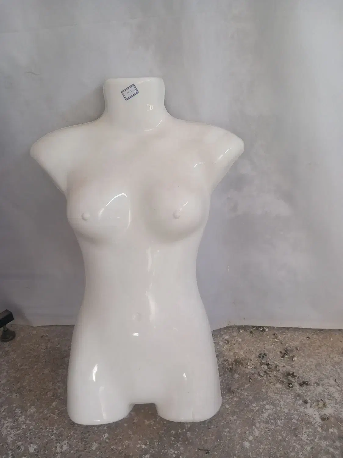 مانکن و رگال آویز|فروشگاه و مغازه|کرمانشاه, |دیوار