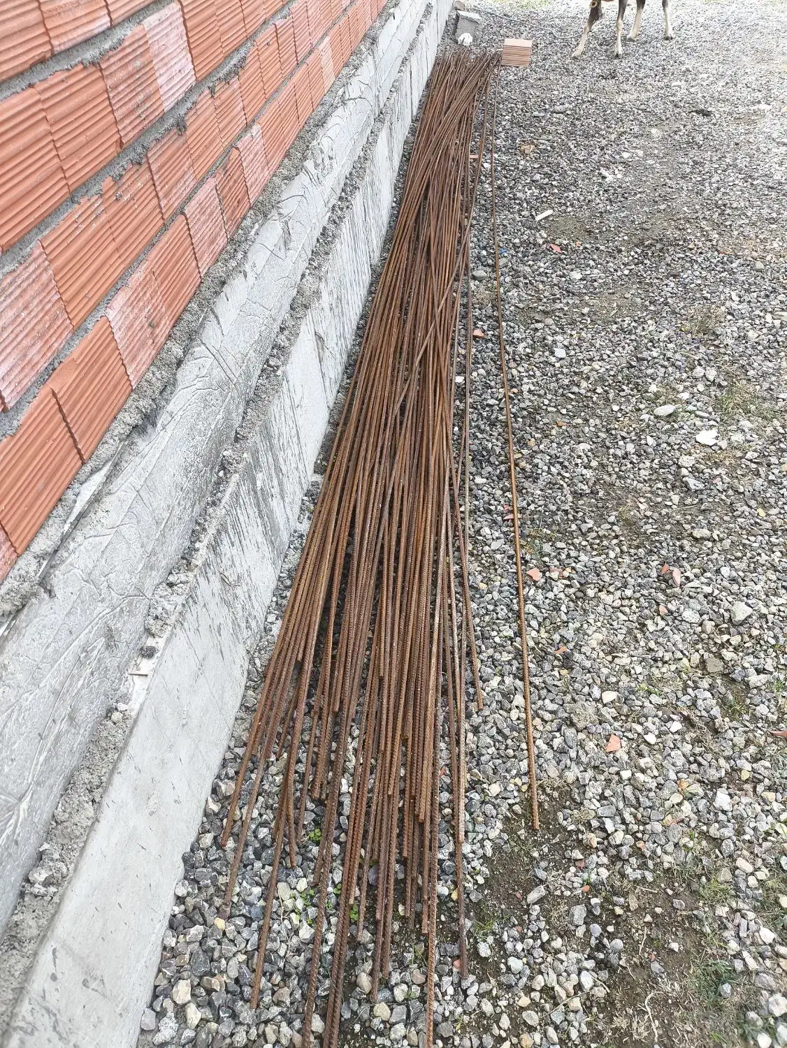 میلگرد 10 (۵۴تا ۶متری)|مصالح و تجهیزات ساختمان|گمیشان, |دیوار