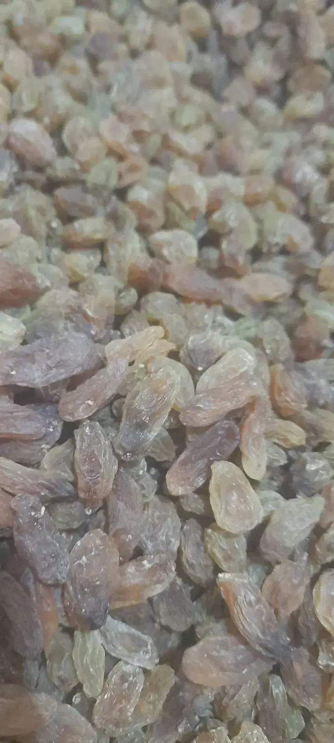 کشمش خوراکی قیمت مناسب افتابی وسبز|خوردنی و آشامیدنی|نیشابور, فضل|دیوار