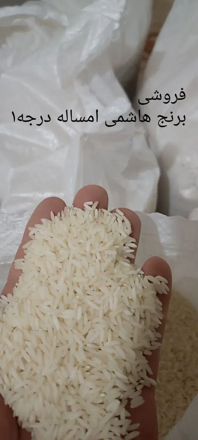 برنج خالص دانه درشت هاشمی|خوردنی و آشامیدنی|الوند, |دیوار