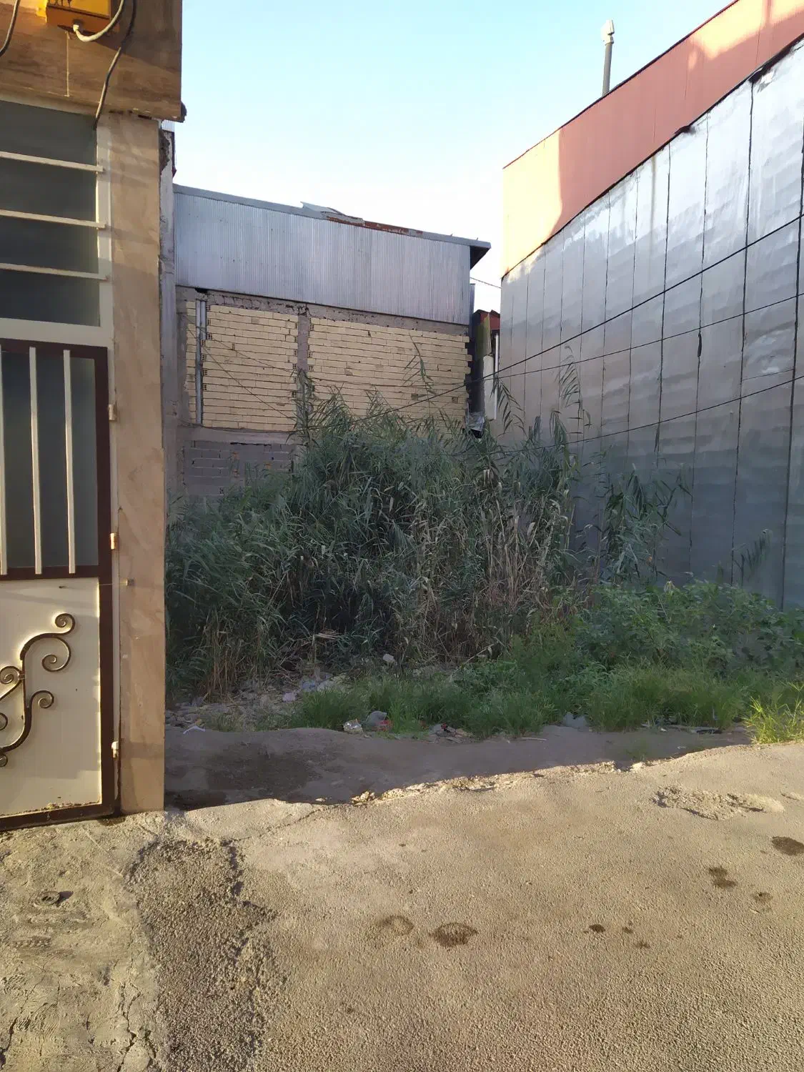 یک قطعه زمین نسقی در حمیدیان|فروش زمین و ملک کلنگی|رشت, پاره بیجار|دیوار