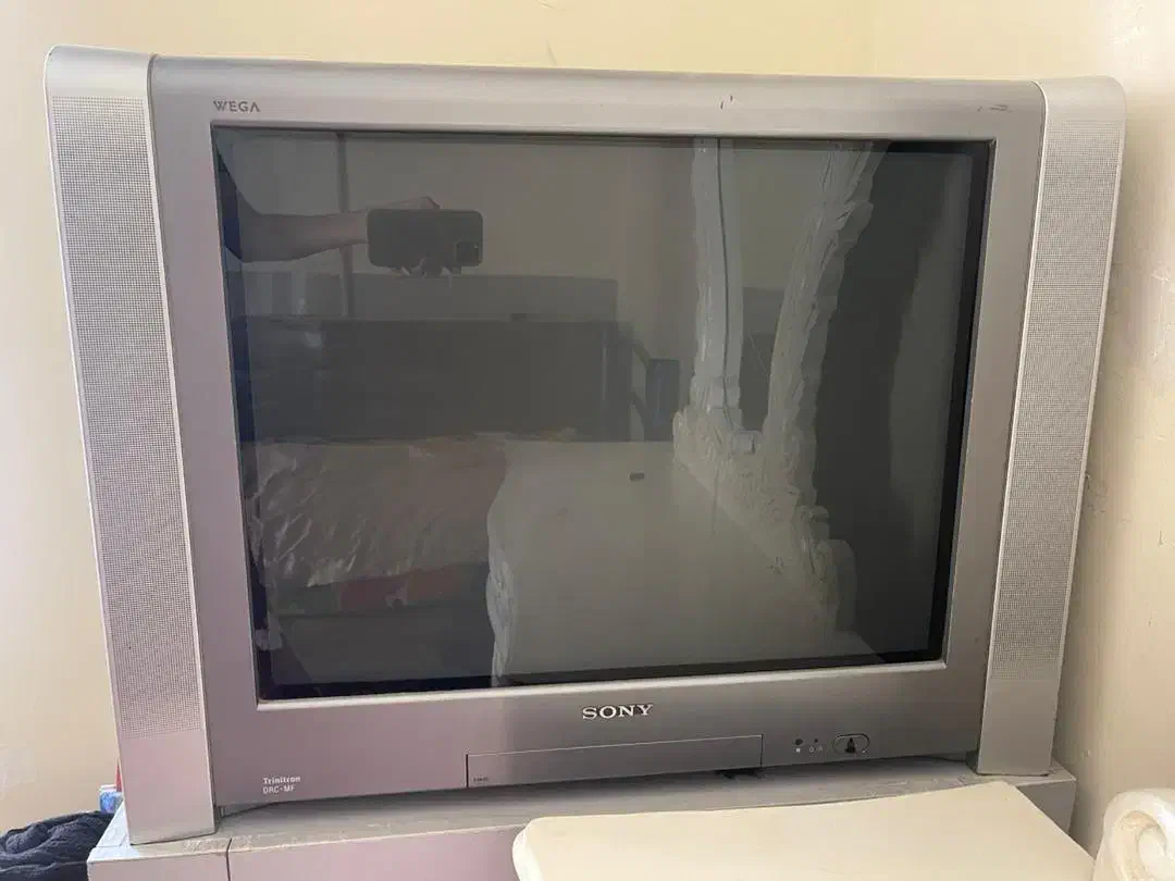 تلویزیون ۲۹ اینچ|تلویزیون و پروژکتور|مشهد, کوثر|دیوار