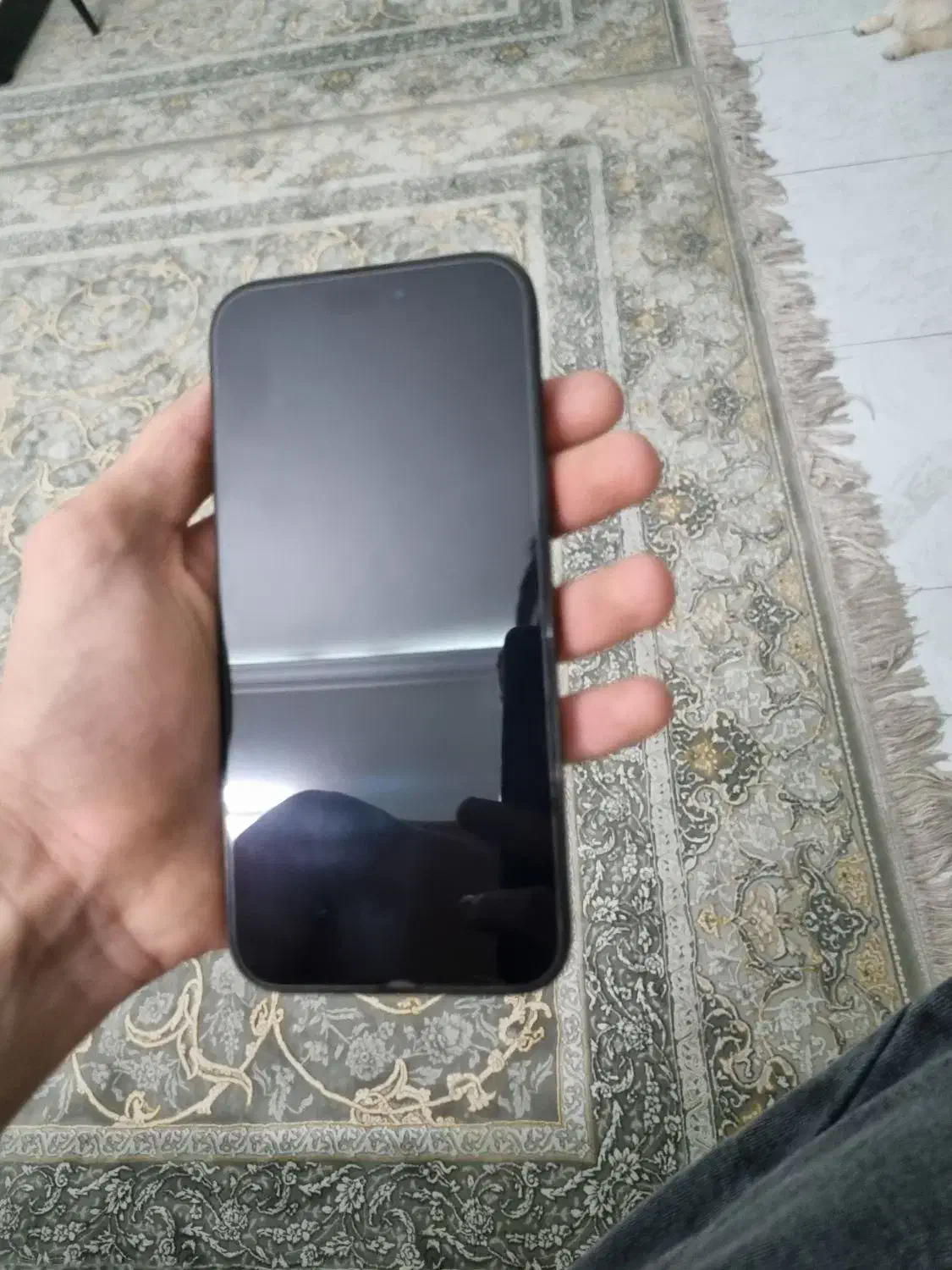 16pro max|موبایل|تهران, هلال احمر|دیوار