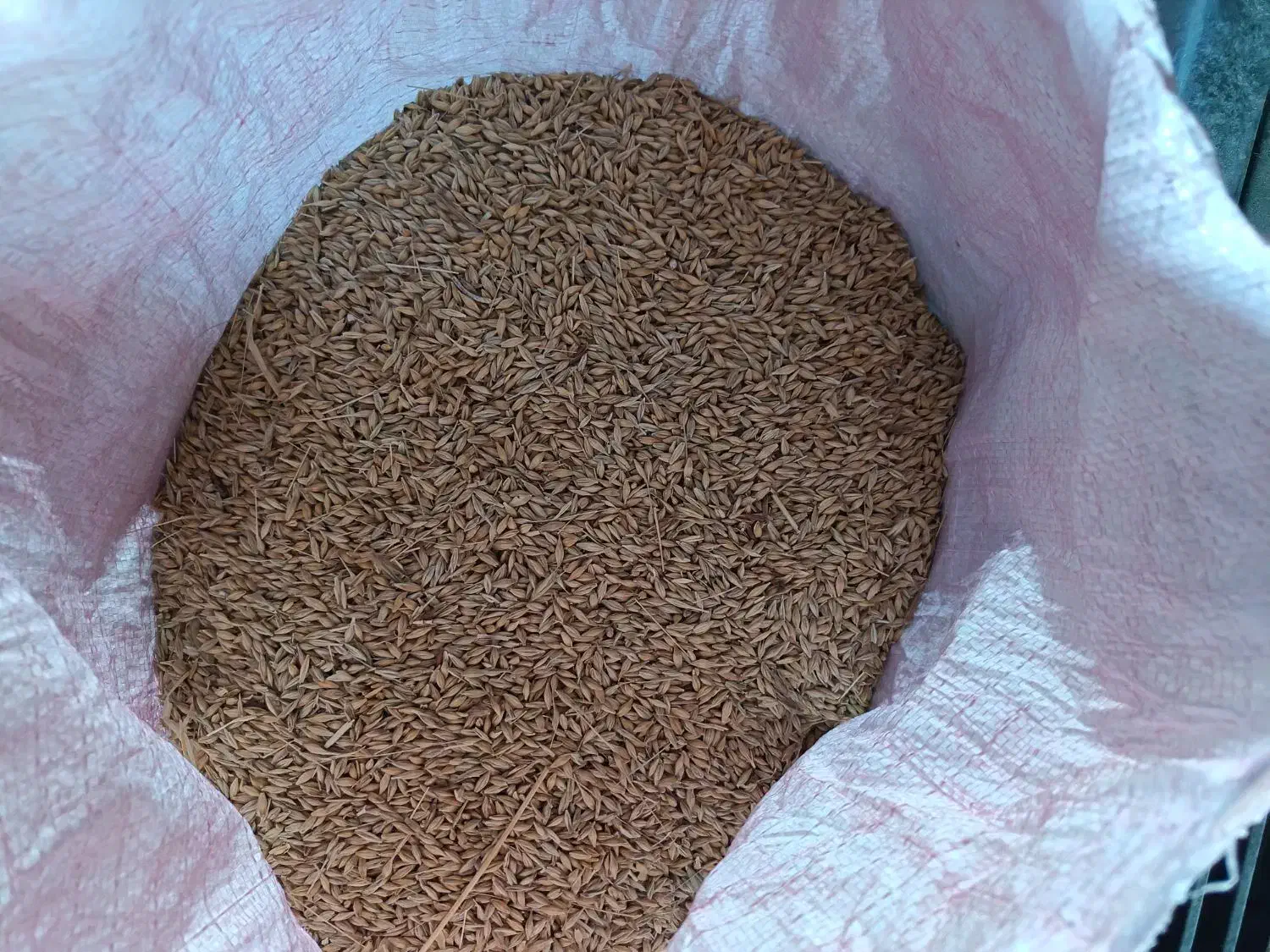 گندم|خوردنی و آشامیدنی|گرمادوز, |دیوار