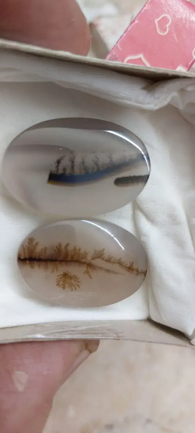 سنگ شجر|جواهرات|شیراز, باغ تخت|دیوار