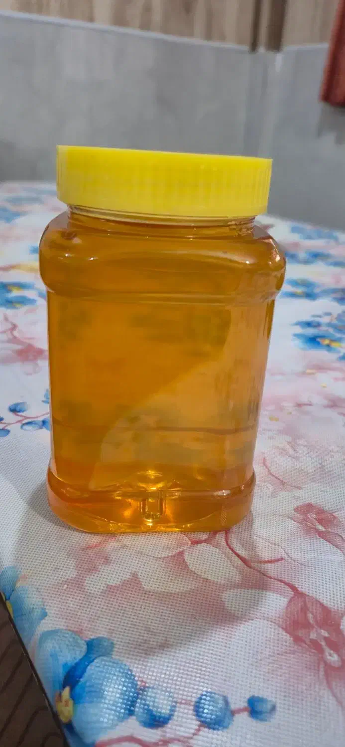 عسل گون آستانه دهاقان به شرط مرجوعی|خوردنی و آشامیدنی|اصفهان, منتظرالمهدی|دیوار