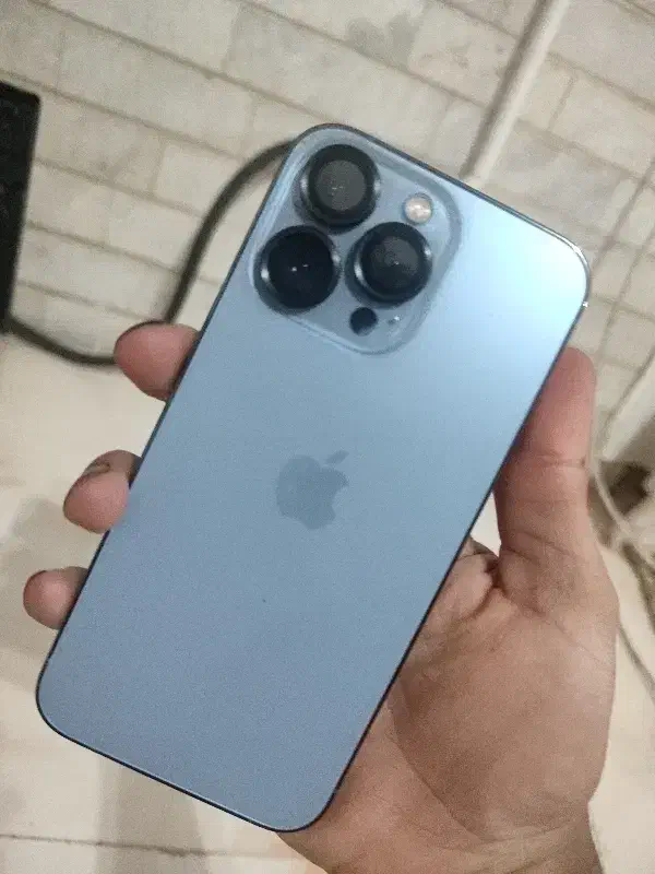 ایفون 13 پرو فایو ال|موبایل|بم, |دیوار