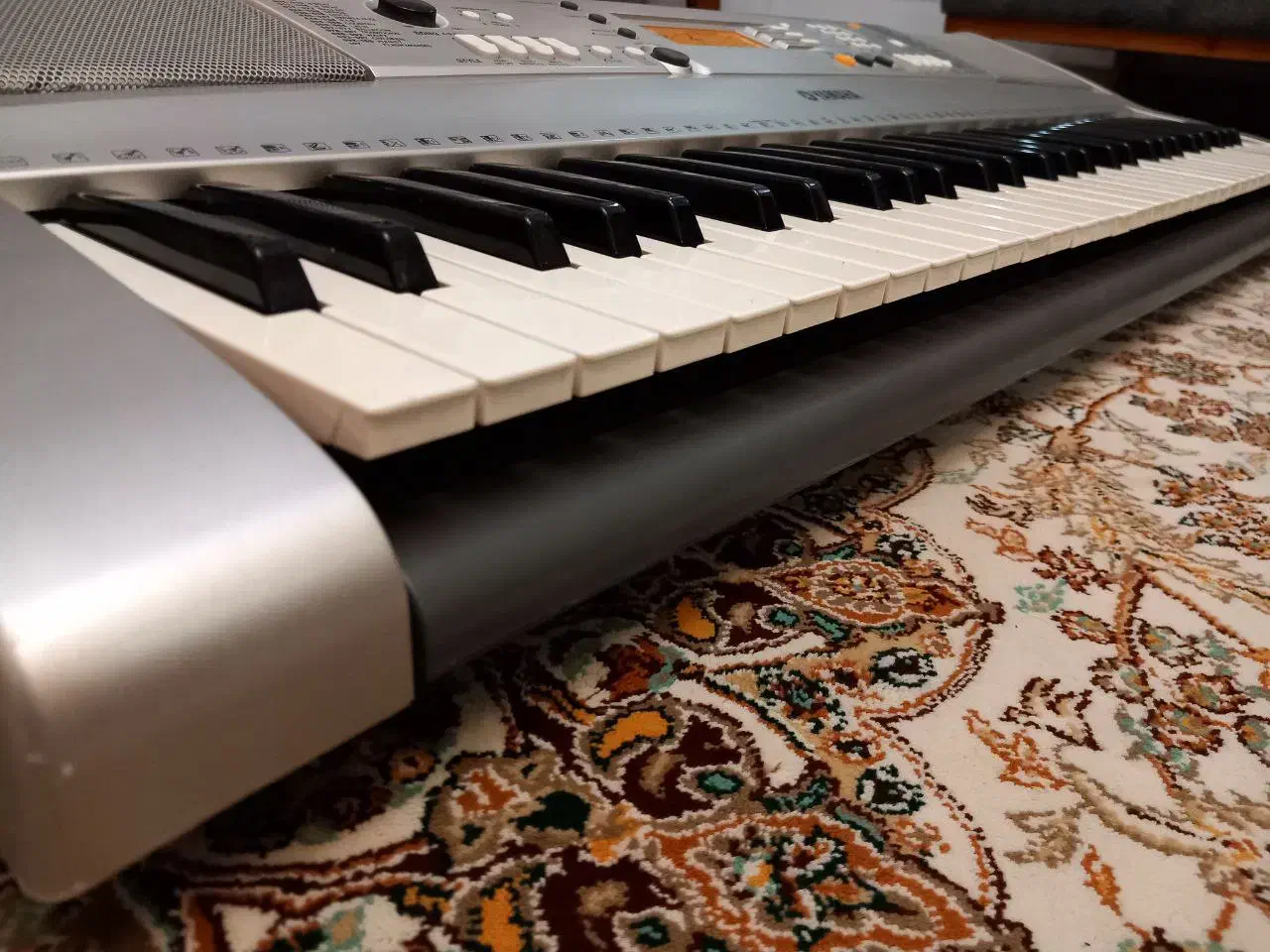 ارگ یاماها|پیانو، کیبورد، آکاردئون|صدرا-فارس, فاز ۲|دیوار