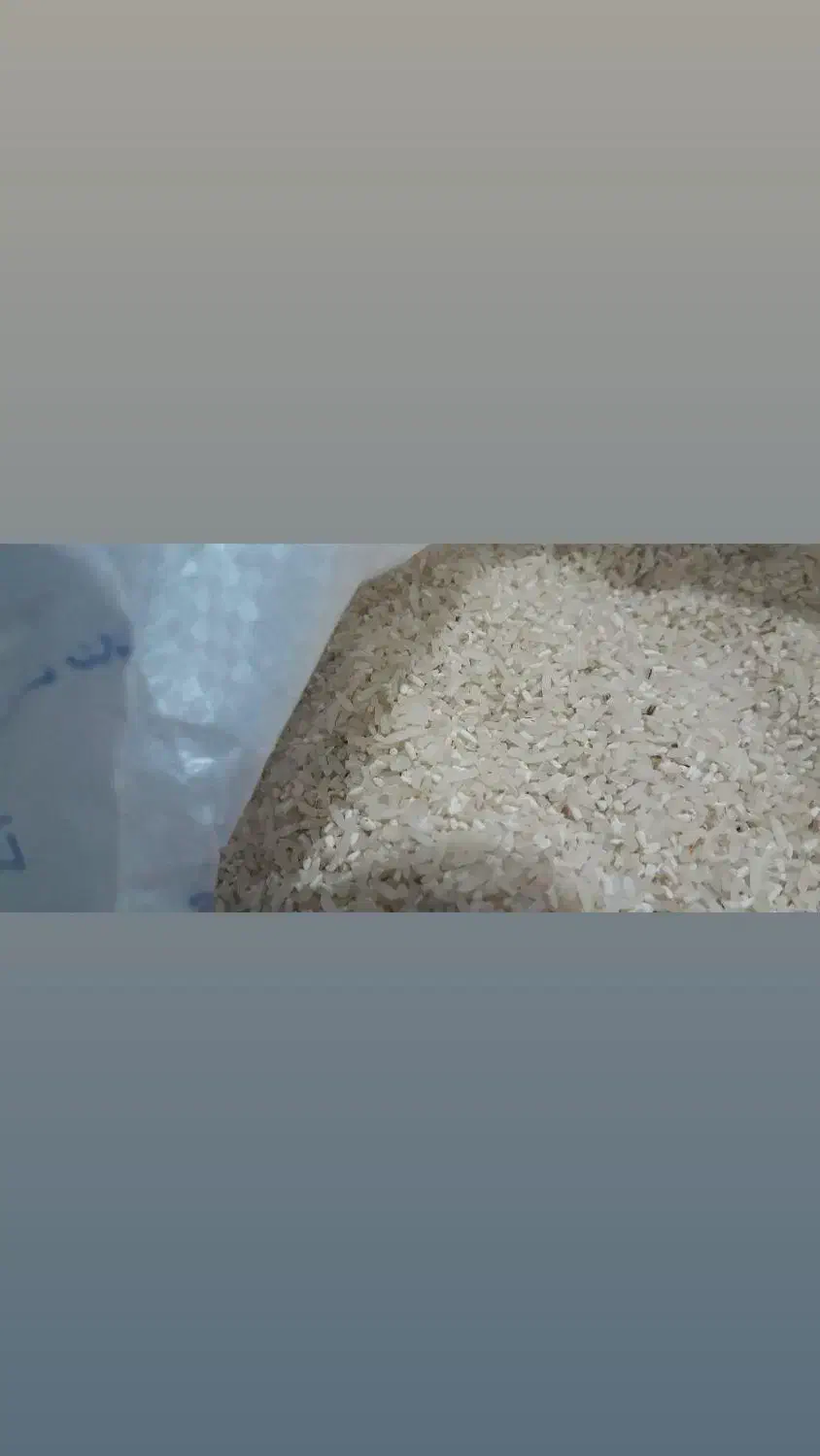 لاشه برنج فجر|خوردنی و آشامیدنی|اصفهان, دانشگاه اصفهان|دیوار