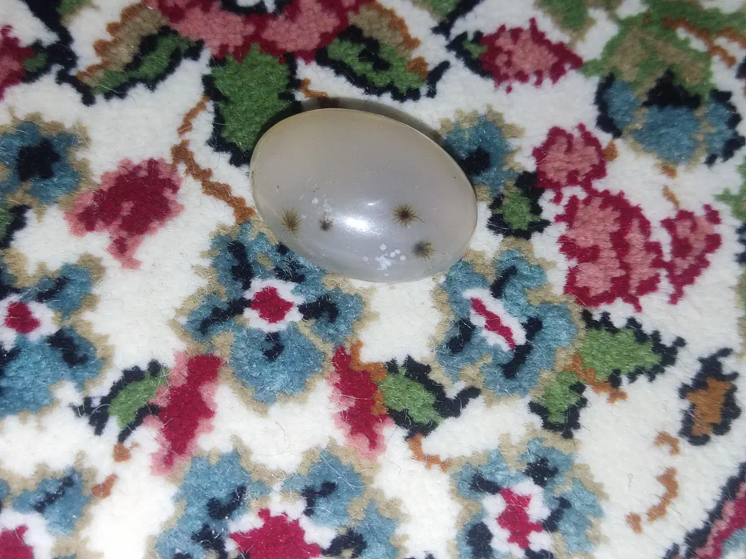 نگین شجر|جواهرات|جیرفت, |دیوار