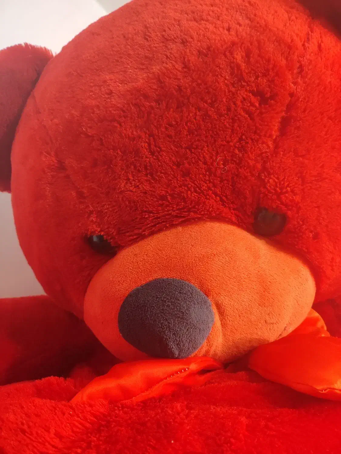 خرس  تدی بزرگ قرمز|اسباب‌‌بازی|شهرضا, |دیوار