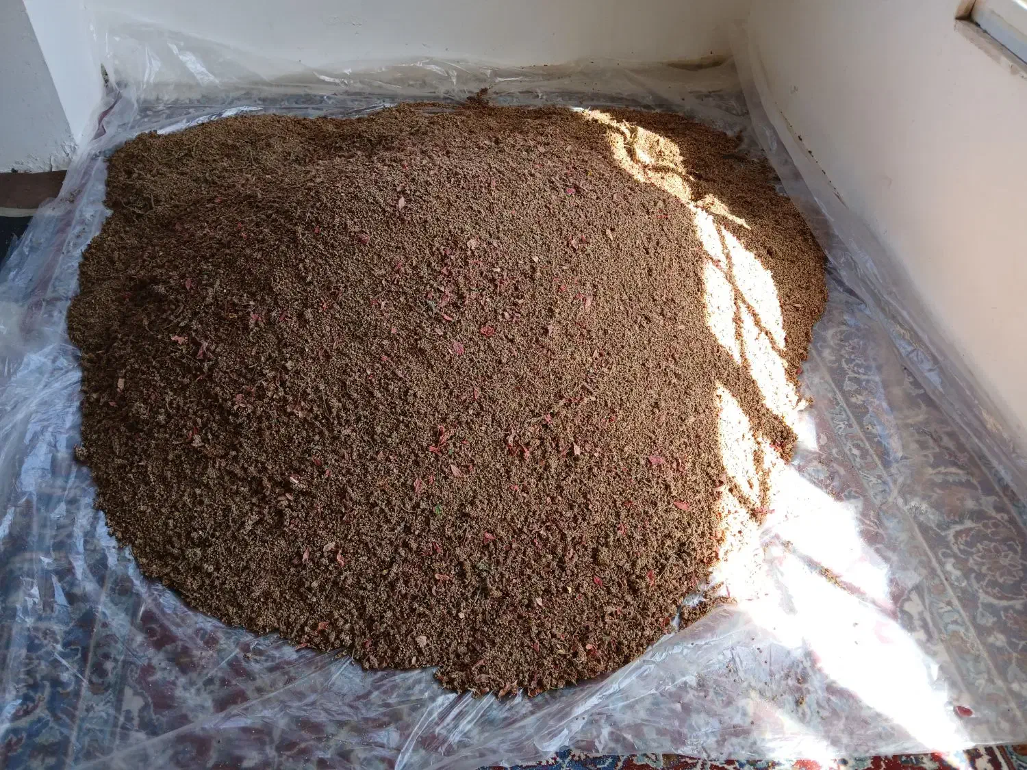 سماغ طبیعی ترش و پرخاصیت از دل کوهستان|عمده‌فروشی|طرقبه, |دیوار