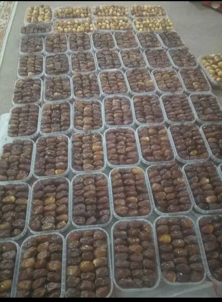 خرمای جنوب خرمای بوشهر|خوردنی و آشامیدنی|مرزیکلا, |دیوار