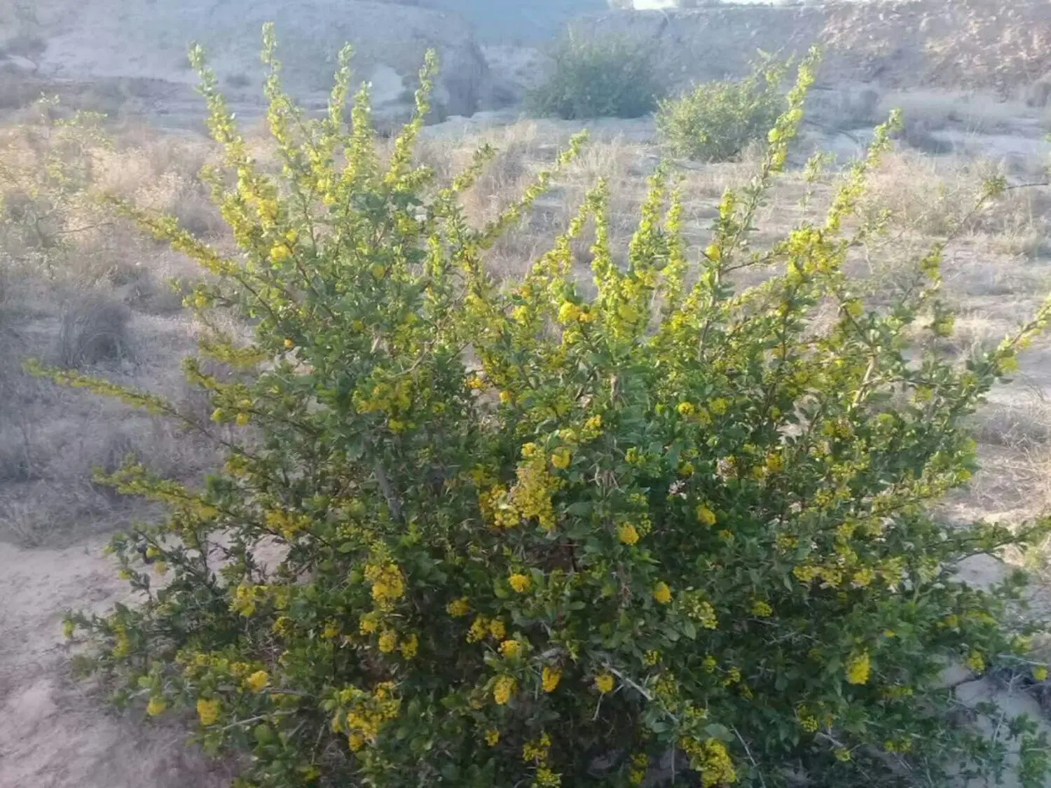تصویر 3