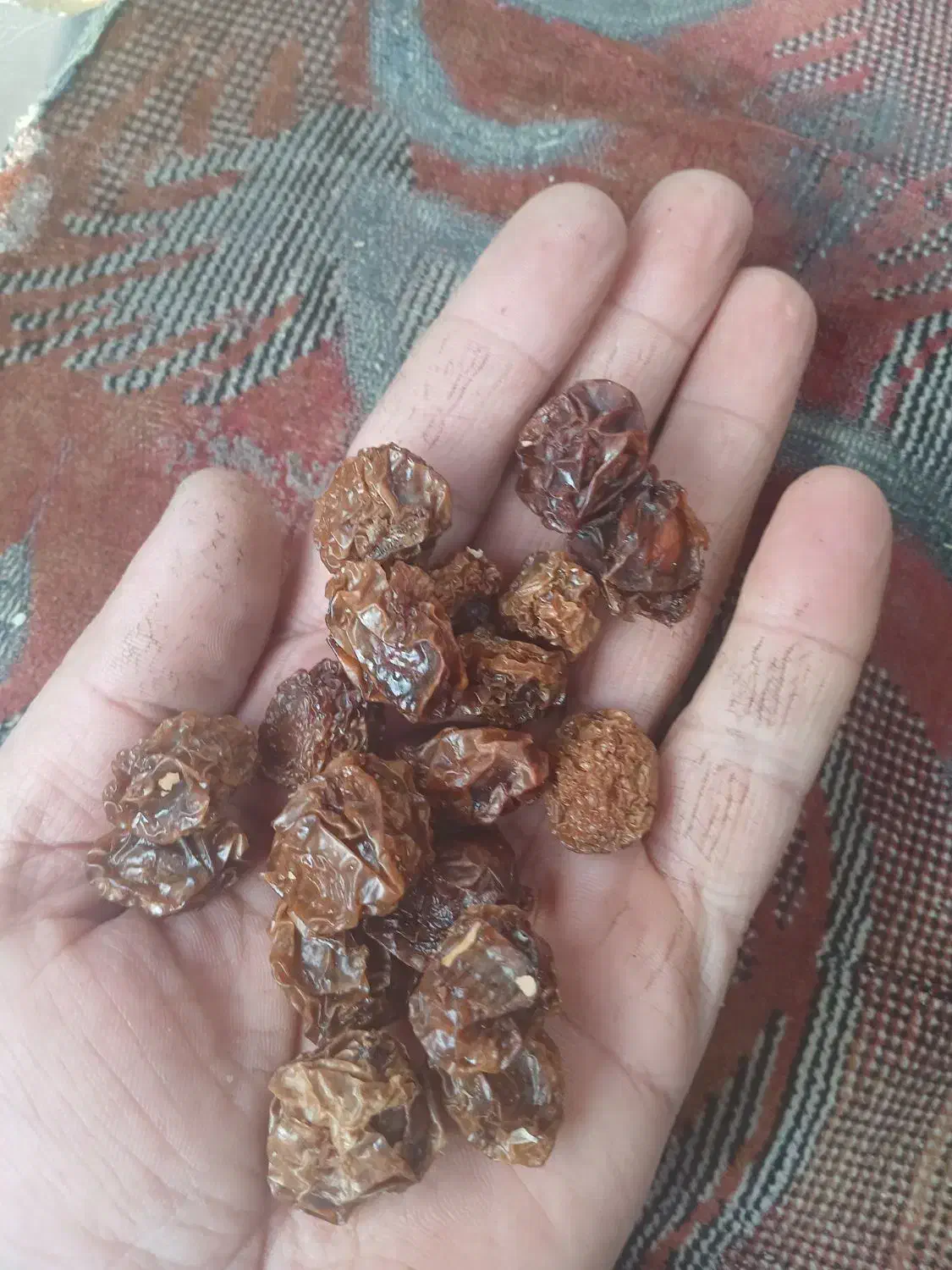 آلوچه|خوردنی و آشامیدنی|مرند, |دیوار