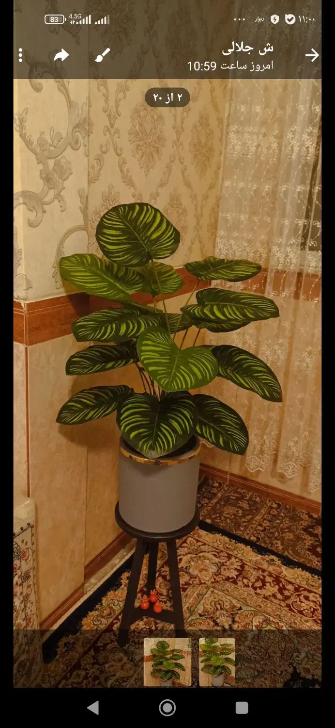 گل مصنوعی|گل مصنوعی|کرمانشاه, |دیوار