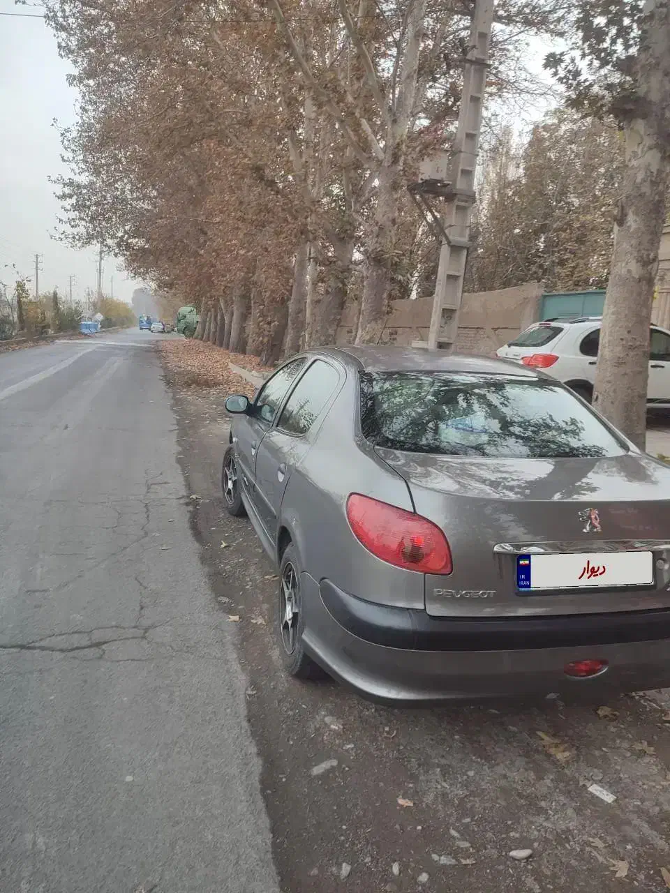 پژو206sdمدل94|خودرو سواری و وانت|فردیس, فردیس|دیوار