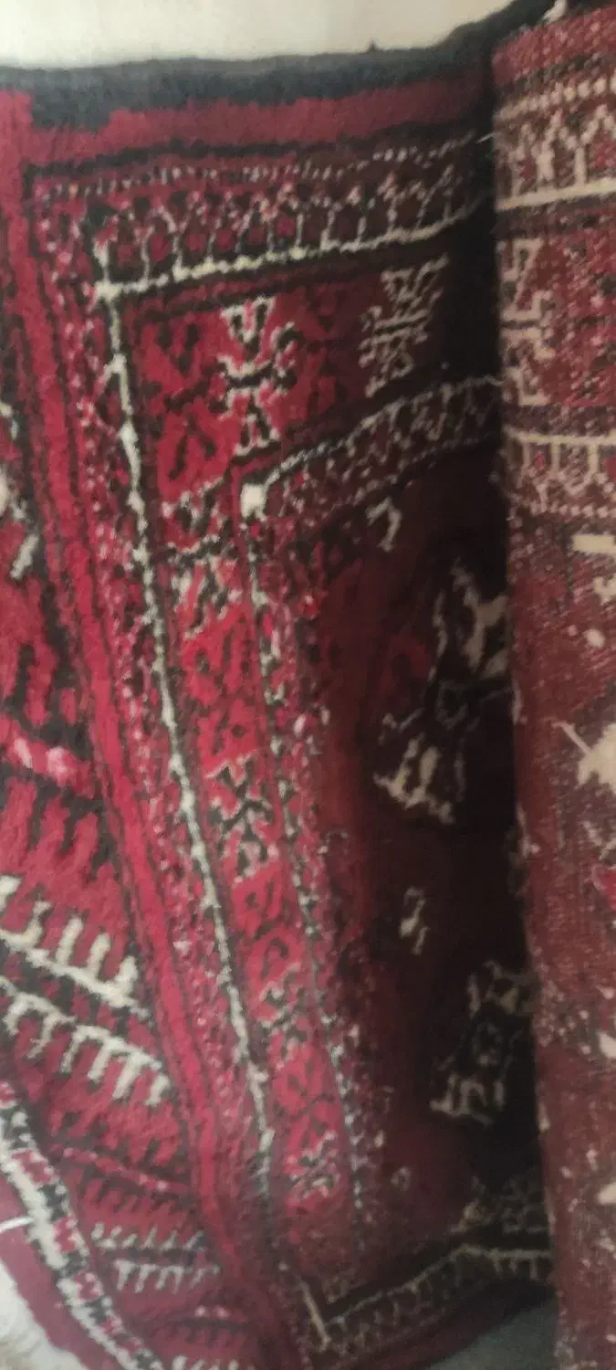 فرش دستباف ترکمنی تمیز وسالم|فرش|گمیشان, |دیوار