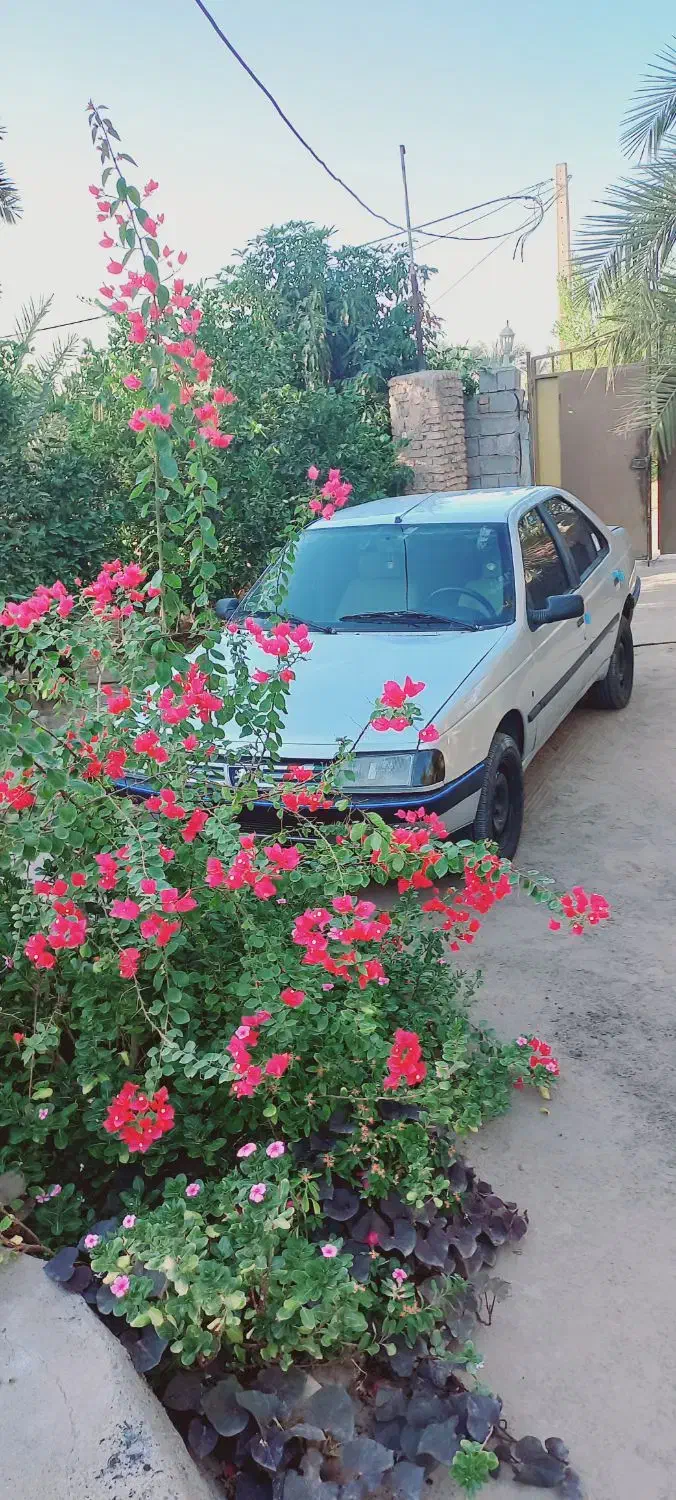 ماشین پژو  مدل ۸۴|خودرو سواری و وانت|عنبرآباد, |دیوار