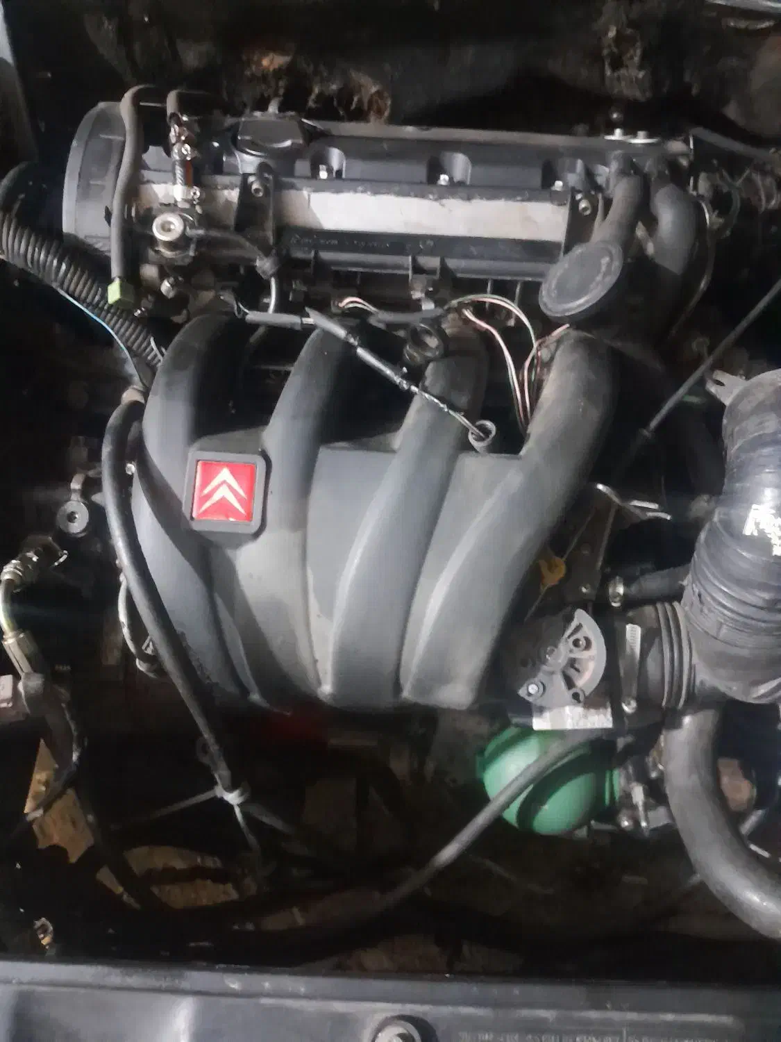 فروش موتورزانتیا|قطعات یدکی و لوازم جانبی|سراوان, |دیوار