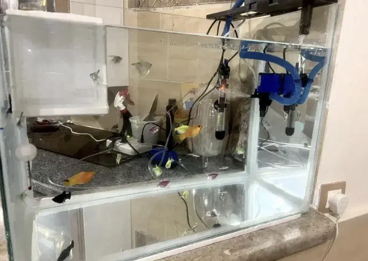 تمام تجهیزات آکواریوم + شیشه آکواریوم رایگان|ماهی|مرودشت, ابوذر شمالی|دیوار