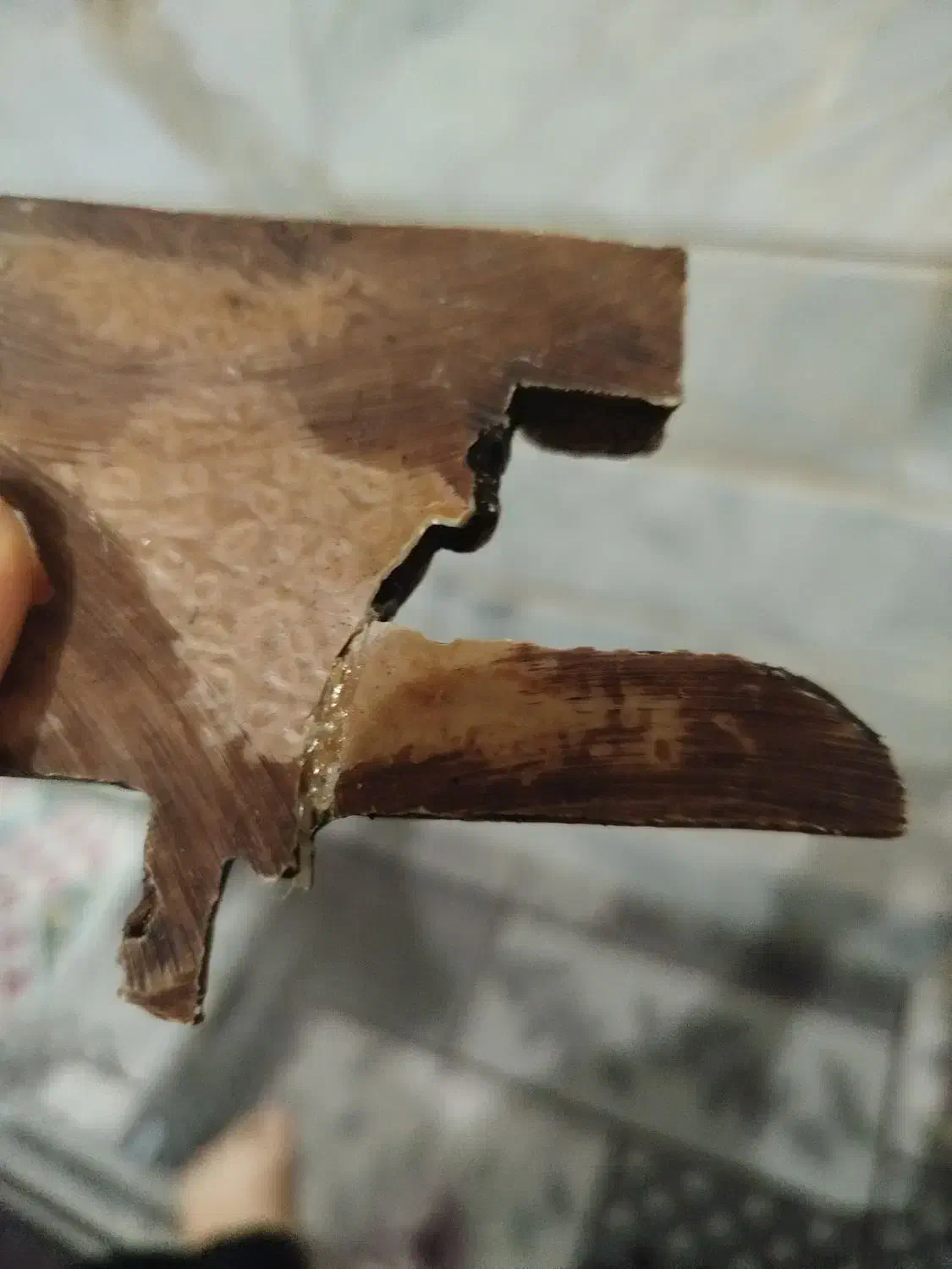 سه عدکوری|مجسمه، تندیس، ماکت|قم, ولیعصر|دیوار