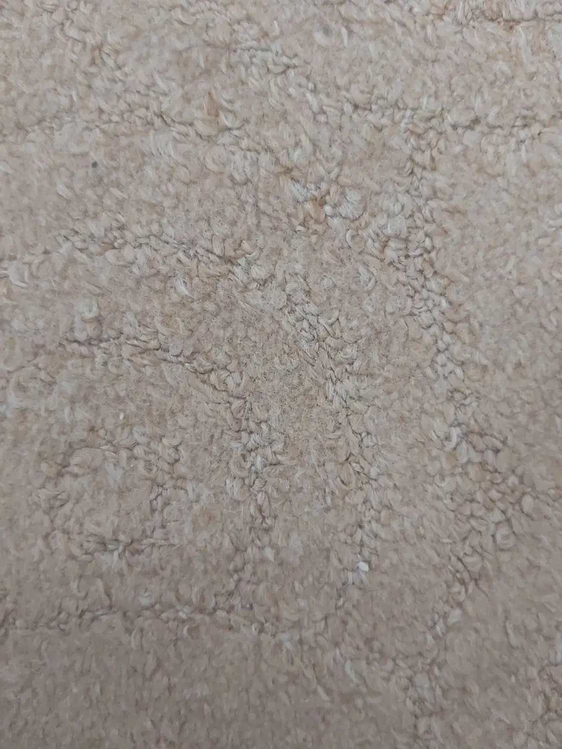 منزل دوخوابه سلطان آباد شیک|فروش خانه و ویلا|شیراز, سلطان آباد|دیوار