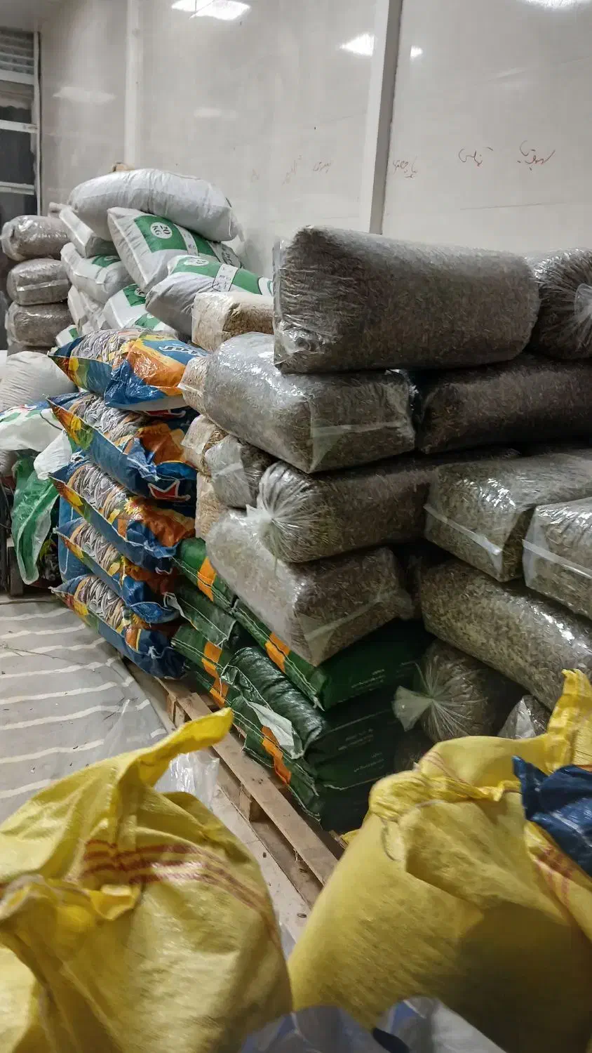 پخش تخمه  چینی وخوی|عمدهفروشی|قیدار, |دیوار