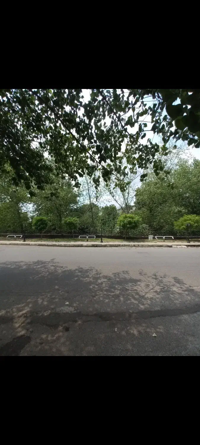 زمین / تجاری / مسکونی / ۸۰۰ متری / گاز|فروش زمین و ملک کلنگی|رشت, منظریه|دیوار