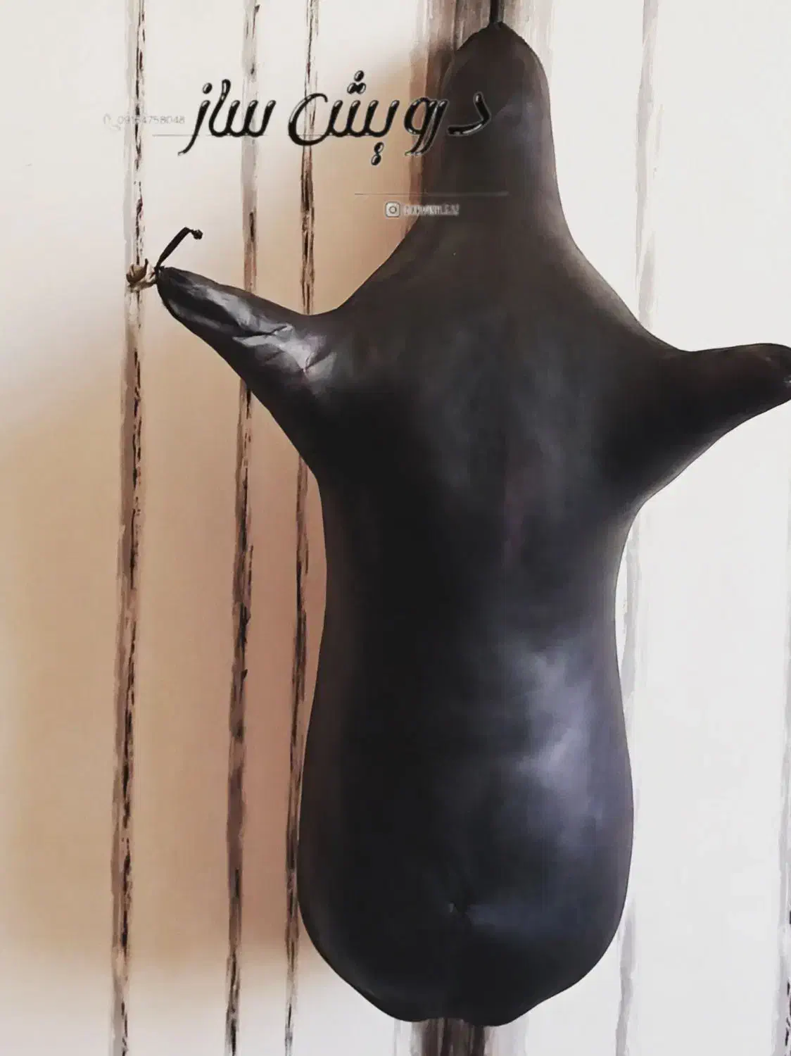 ببری|سازهای بادی|شیراز, حومه شیراز|دیوار