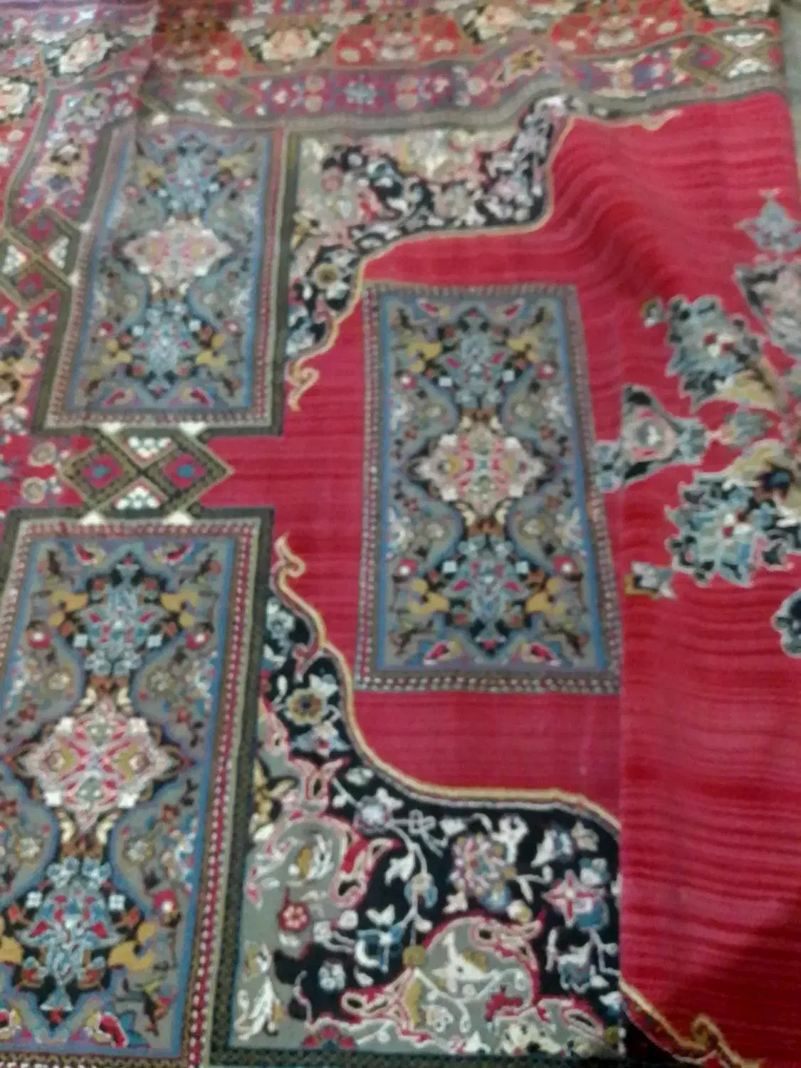 قالی|فرش|ایذه, |دیوار