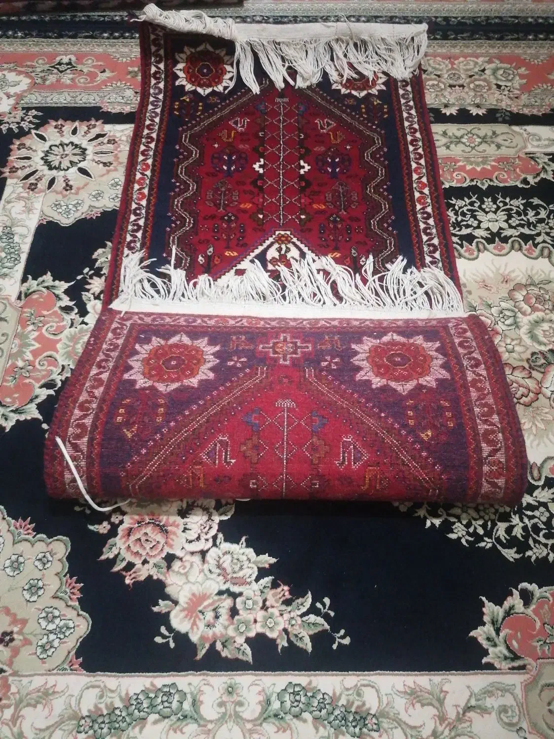 دوعدد قالی دست بافت|گلیم، جاجیم، گبه|شیراز, فرگاز|دیوار