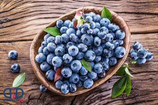 نمایندگی رویال نهال میاندواب در غرب استان اصفهان|گل و گیاه طبیعی|خوانسار, |دیوار