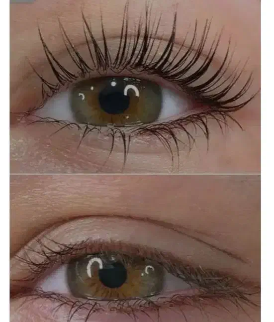 لیفت مژه|خدمات آرایشگری و زیبایی|لاهیجان, کوی خزر|دیوار