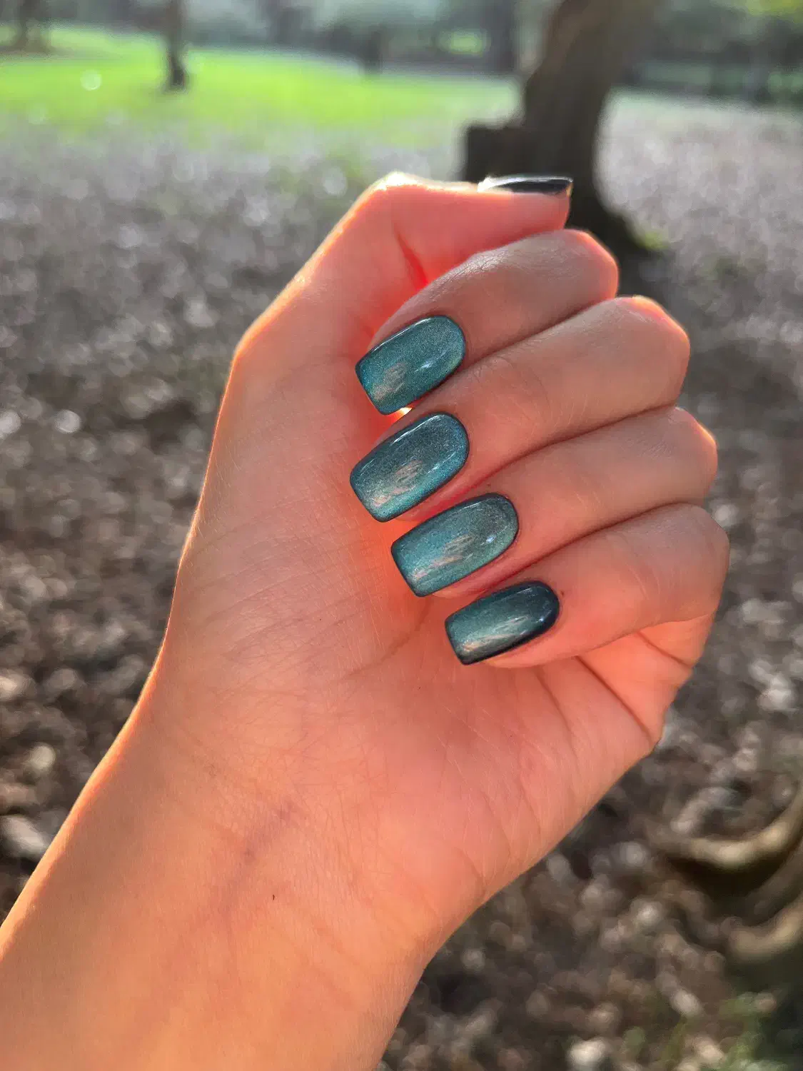 تخفیف ویژه شب یلدا و روز زن|خدمات آرایشگری و زیبایی|بابلسر, |دیوار