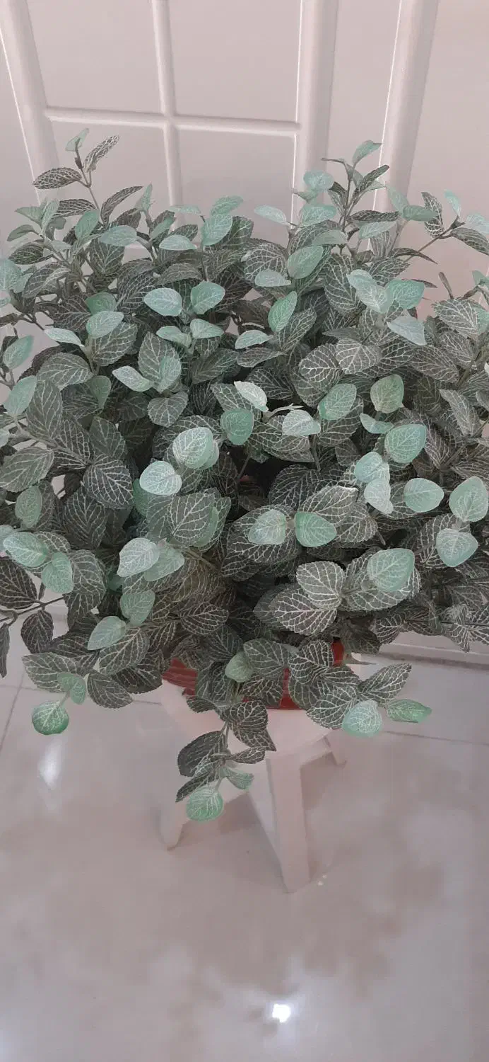 گلدان مصنوعی خارجی با گلدان سرامیک|گل مصنوعی|مشهد, آزادشهر|دیوار