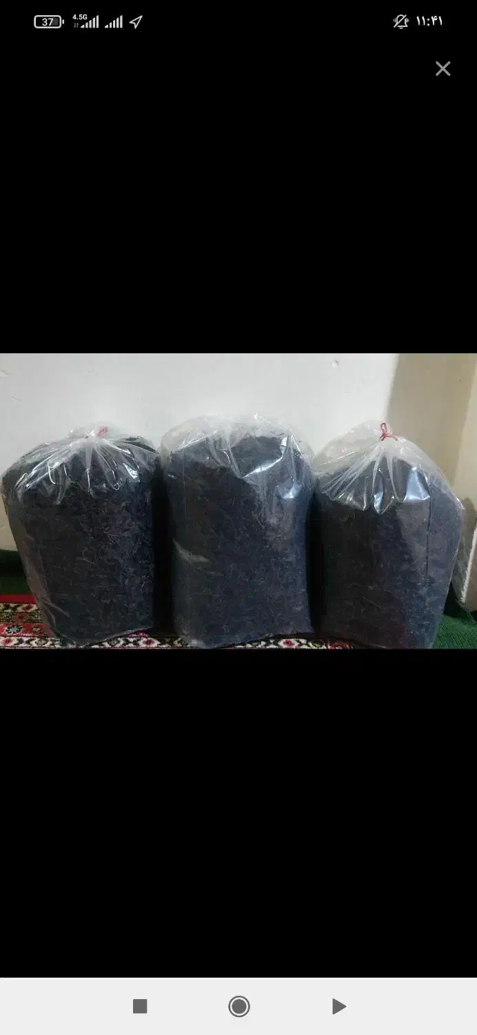 چای|خوردنی و آشامیدنی|رشت, گیل|دیوار