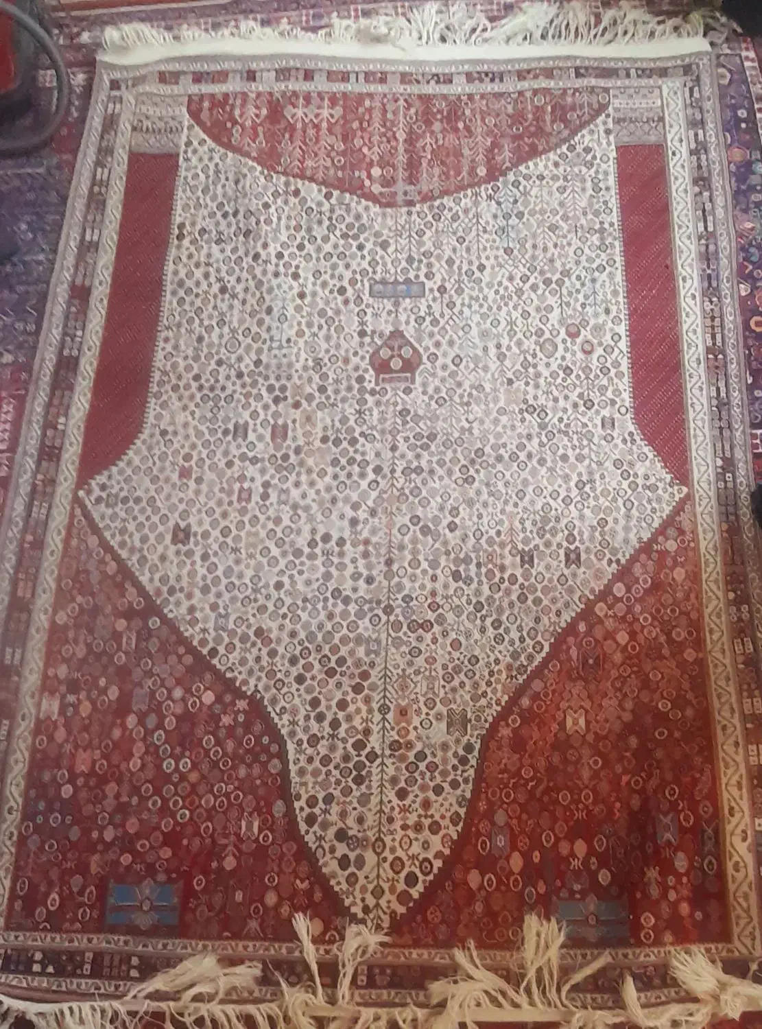 قالی دستباف|فرش|سپیدان, |دیوار