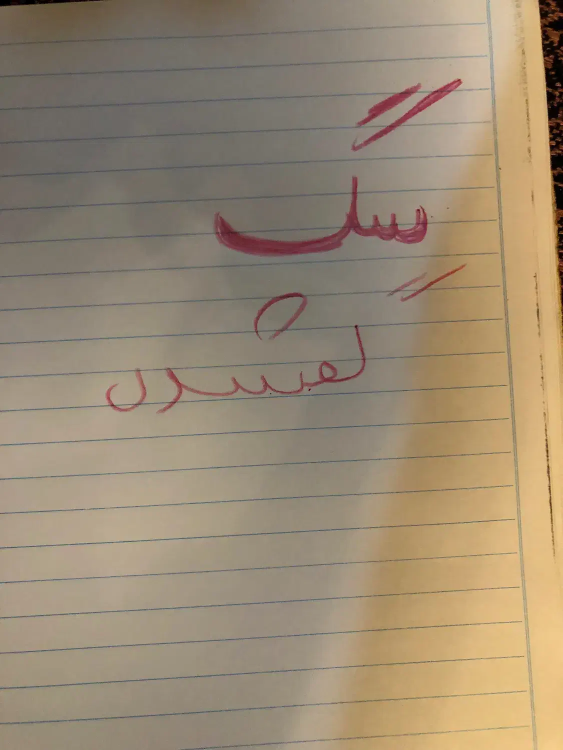 یک سگ پیدا شده|سگ|تبریز, |دیوار