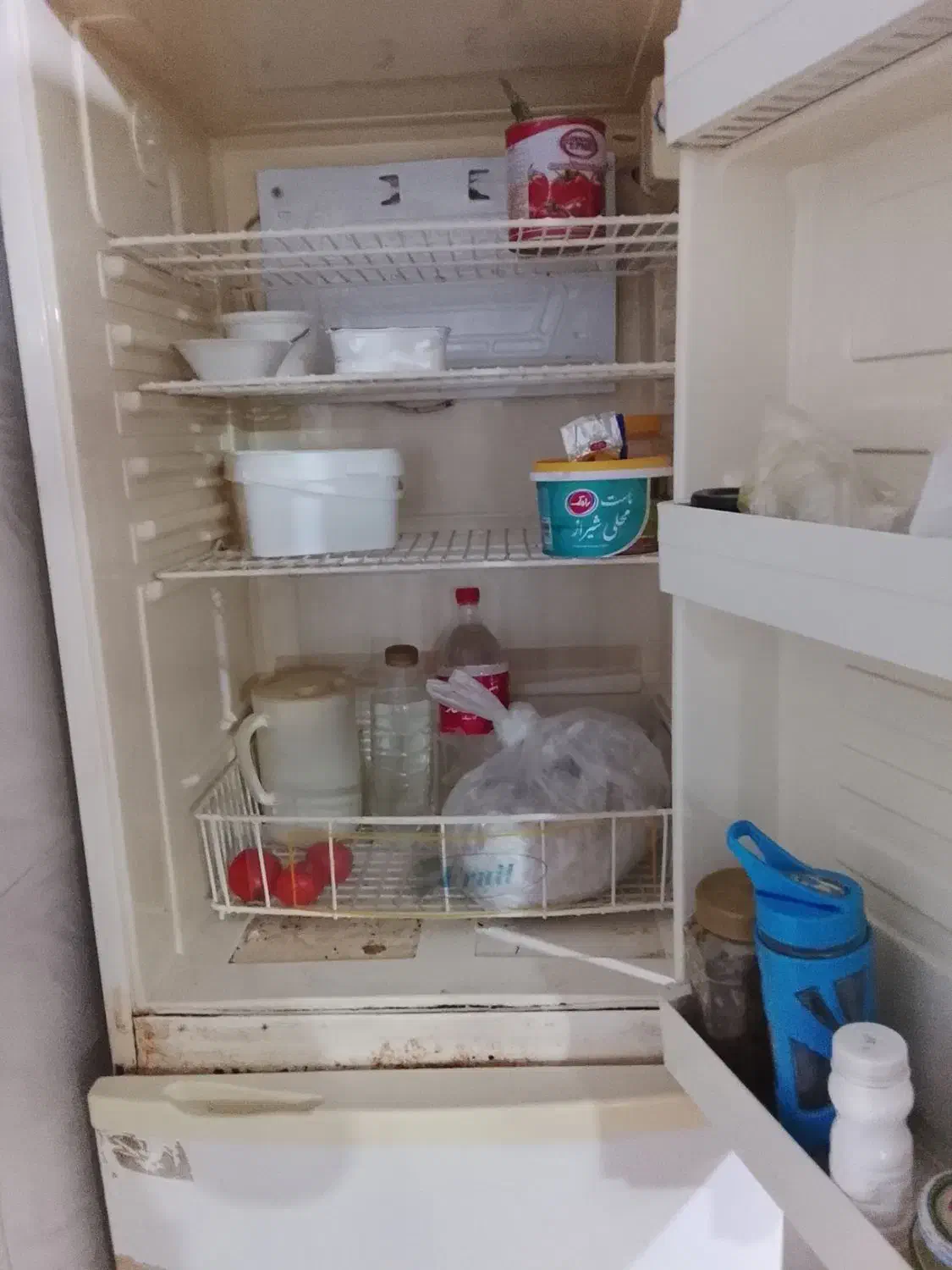 یک عدد یخچال فریزر سایوان|یخچال و فریزر|تربت جام, کشتارگاه|دیوار