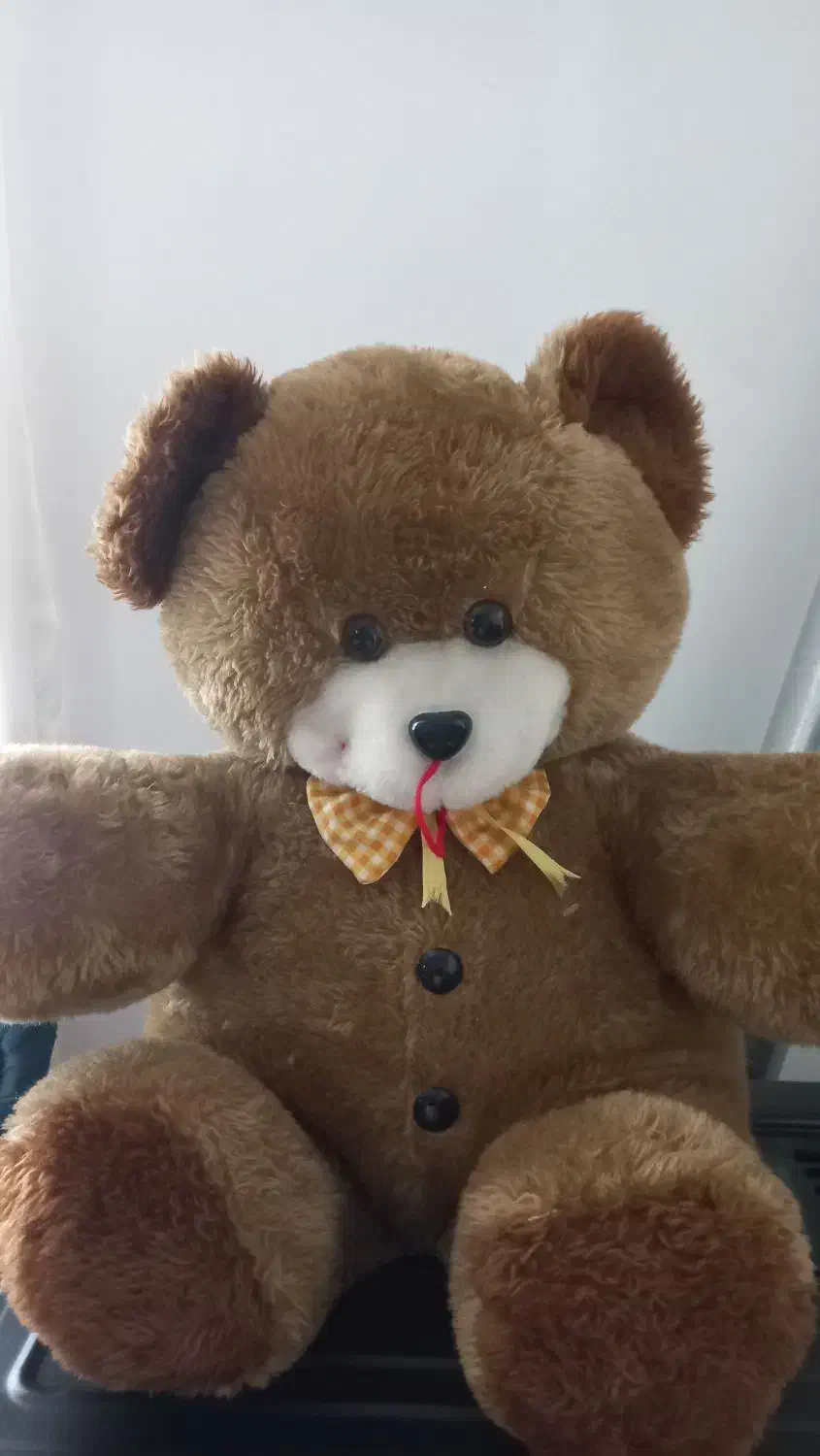 عروسک خرسی قهوه ای|اسباببازی|ساری, |دیوار
