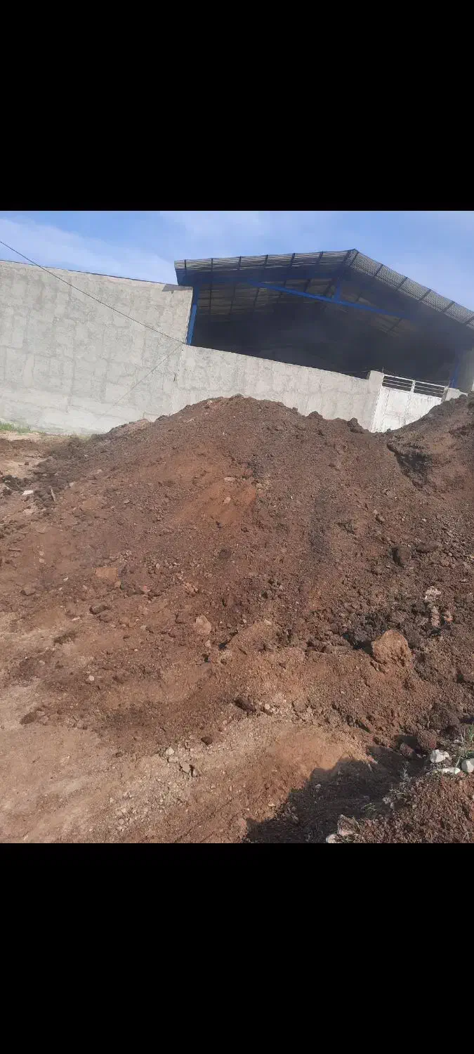 کود حیوانی گوسفندی گاوی سوخته|خدمات باغبانی و درختکاری|شیروان (خراسان), |دیوار