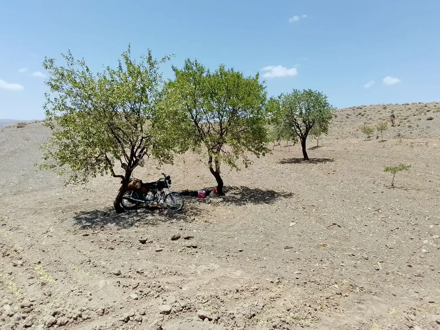 سه هزار متر زمین|فروش زمین و ملک کلنگی|سبزوار, کراب|دیوار