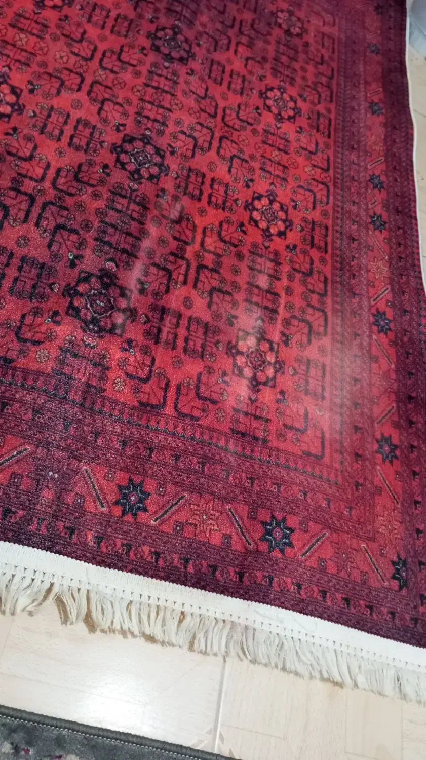 فرشینه|فرش|رشت, معلولین|دیوار