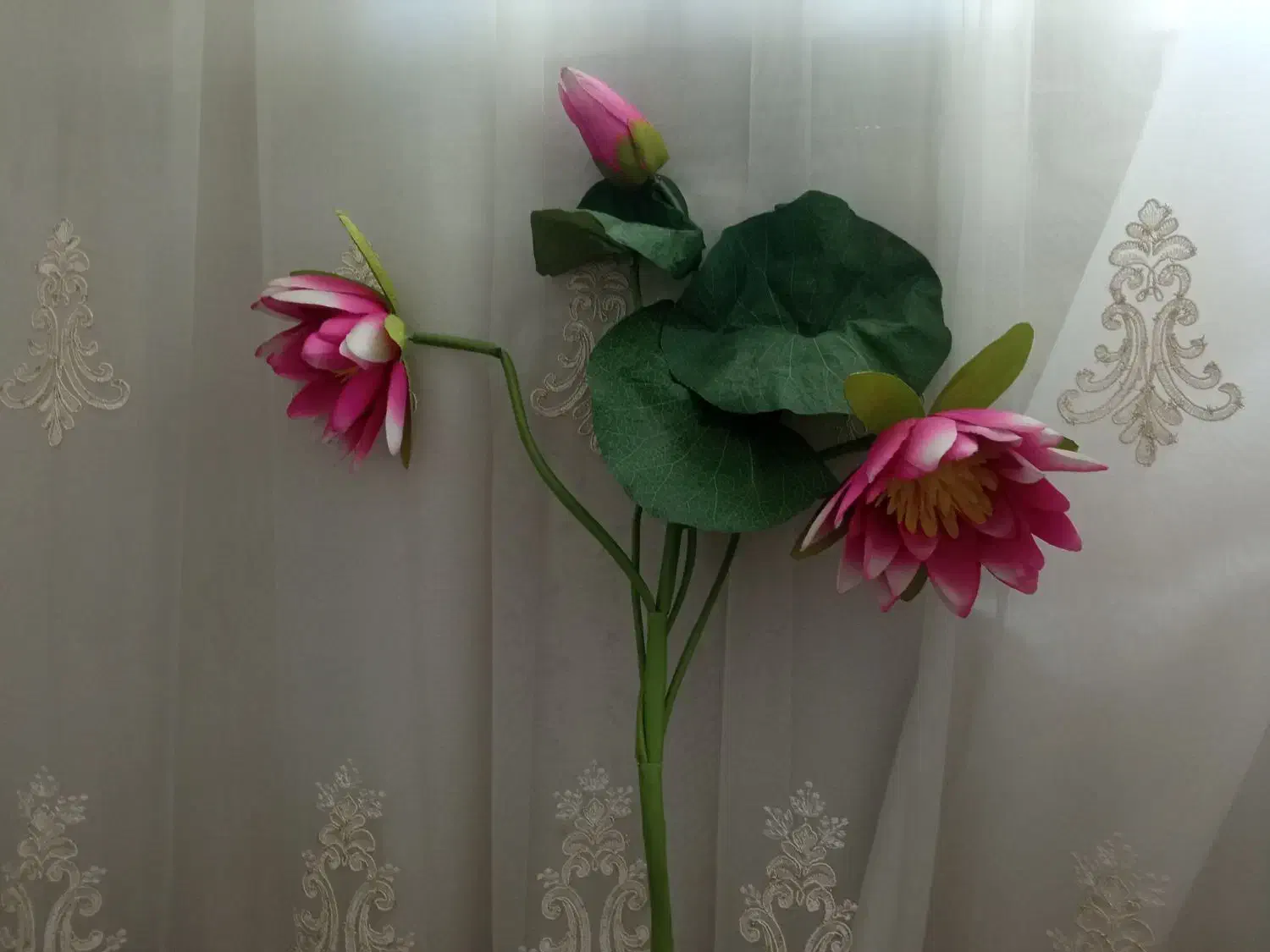 گل مصنوعی|گل مصنوعی|زنجان, |دیوار