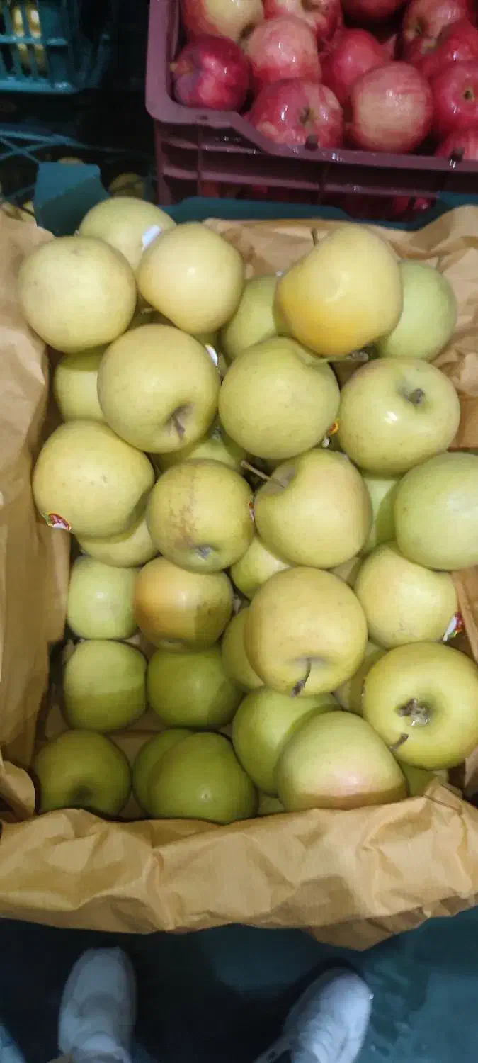 سیب درجه 2 رنگ دار و صاف|خدمات باغبانی و درختکاری|اشنویه, |دیوار