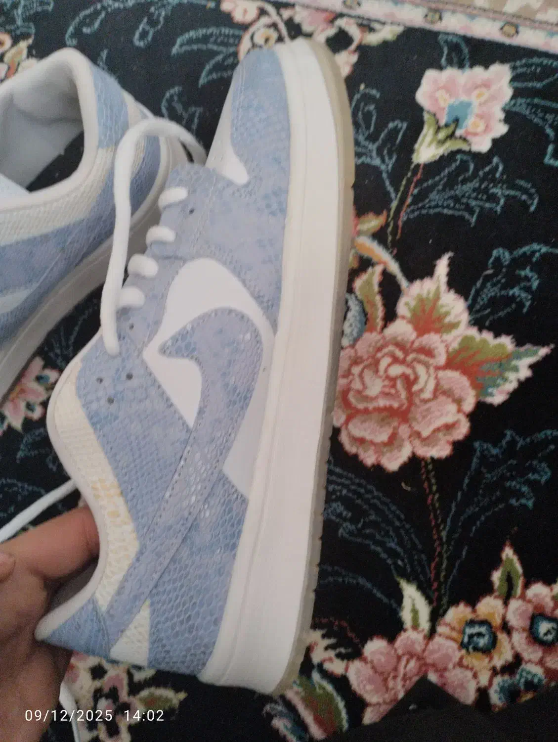 کفش دراگون ارزان|کیف، کفش، کمربند|تایباد, |دیوار