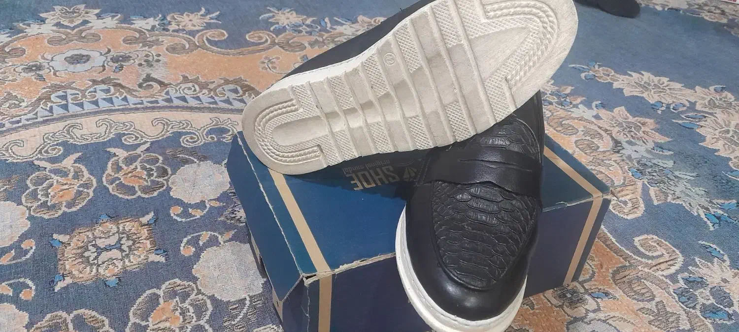 کفش مجلسی|کیف، کفش، کمربند|میناب, |دیوار