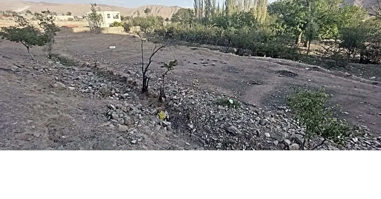 فروش زمین از طریق مزایده|فروش زمین و ملک کلنگی|شهمیرزاد, |دیوار