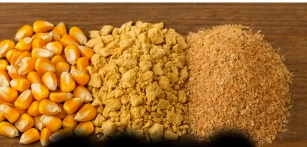 خوراک عالی برای مرغ تخم گذار|حیوانات مزرعه|گناباد, |دیوار